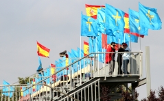 Alonso fans at the Grand Prix